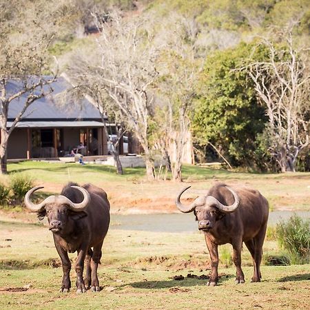 Botlierskop Bush Villas Sandhoogte Zewnętrze zdjęcie