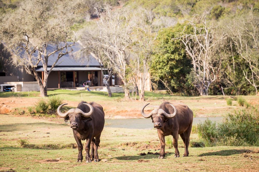 Botlierskop Bush Villas Sandhoogte Zewnętrze zdjęcie