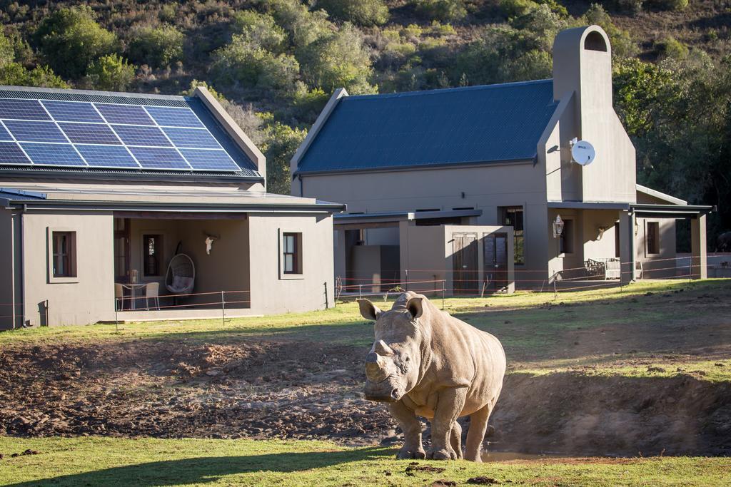 Botlierskop Bush Villas Sandhoogte Zewnętrze zdjęcie