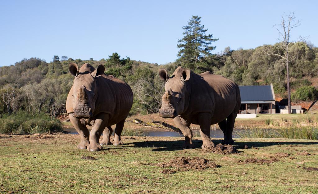 Botlierskop Bush Villas Sandhoogte Zewnętrze zdjęcie